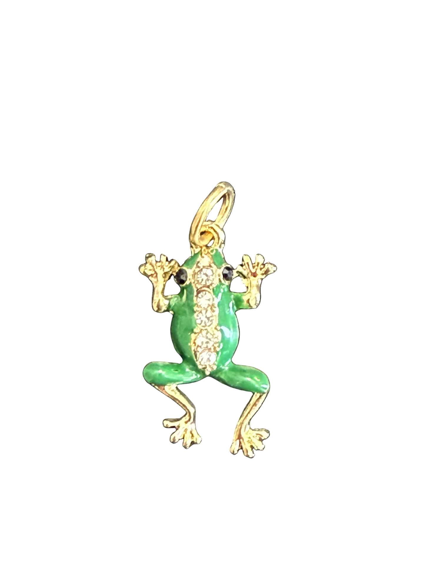 the Tree Frog