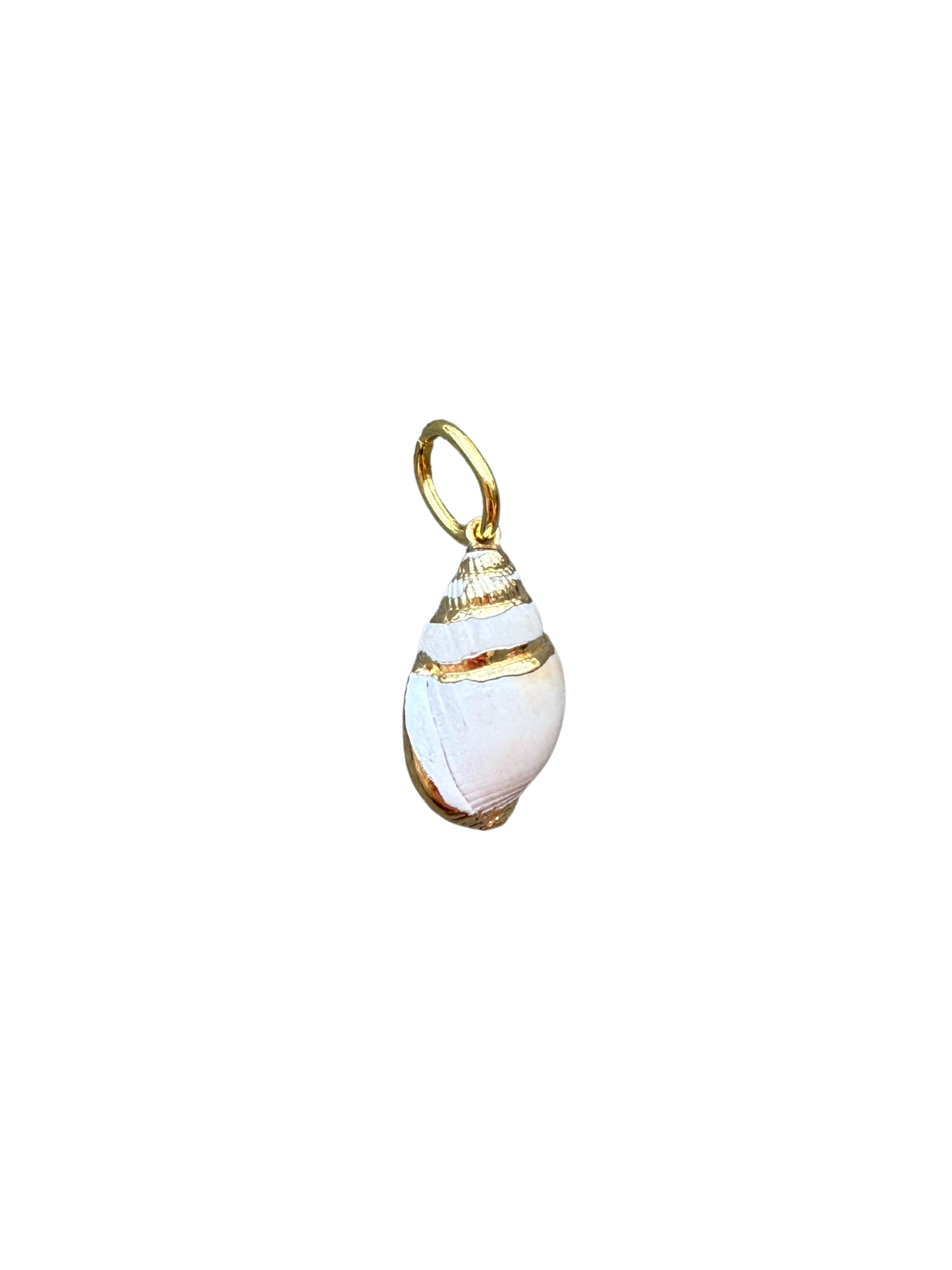 the Sandy charm