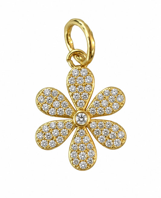 the Daisy