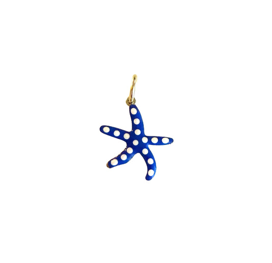 the Seaside Star