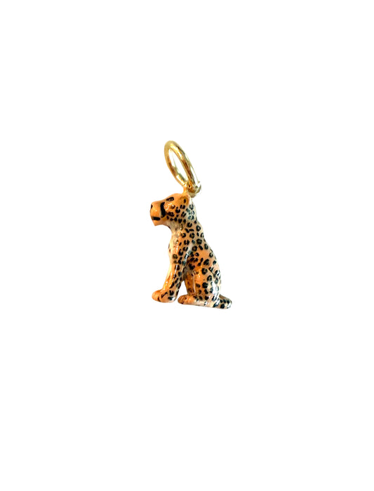 the Wild Cheetah
