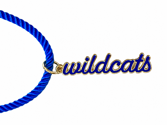 Wildcats charm